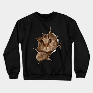 Sweet Kitten Torn Cat Cat Owner Cat Lady Crewneck Sweatshirt